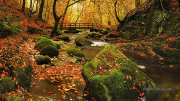 photos photo Tableau Peinture - Feuilles d’automne Flux brisé Paysage Peinture à partir de Photos à Art